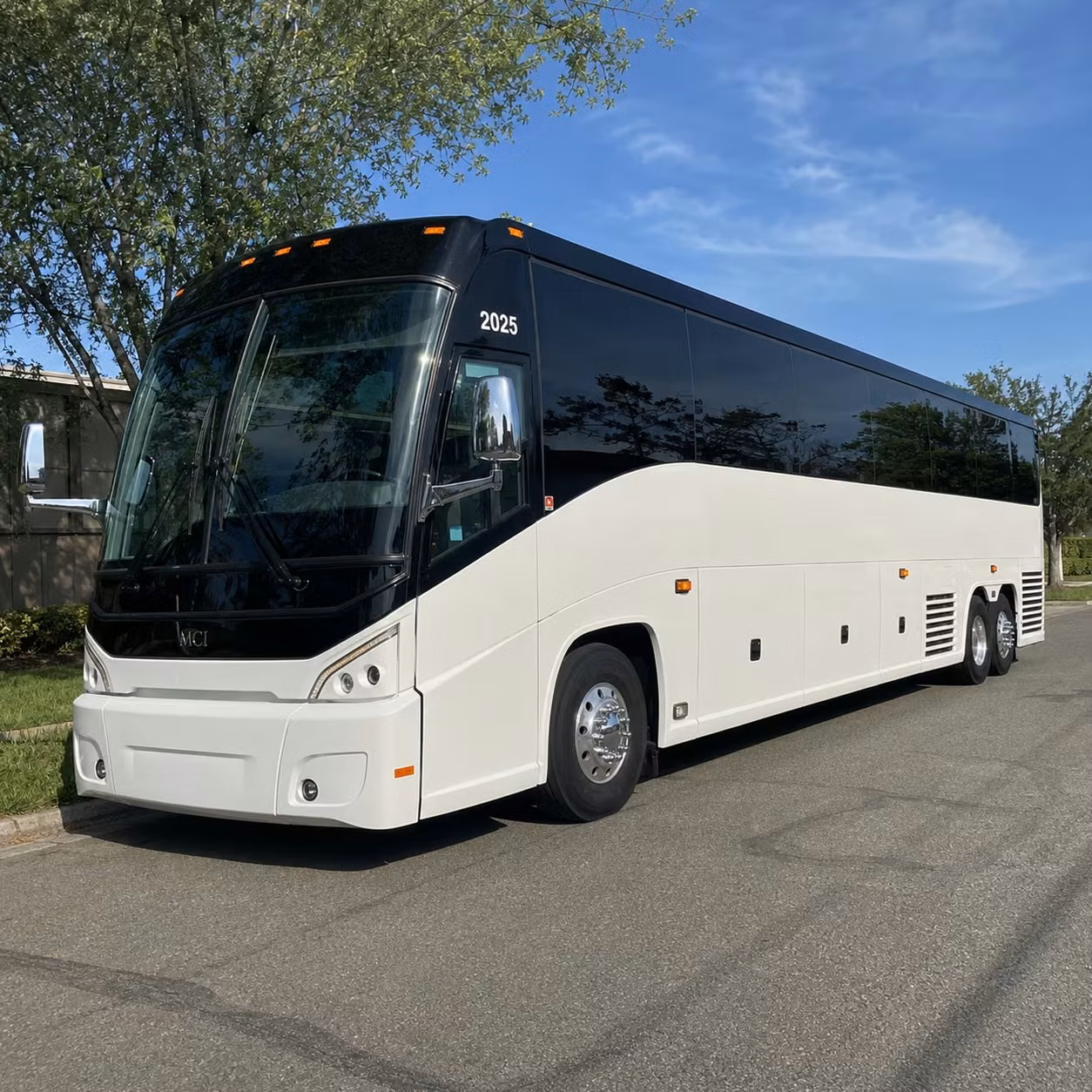 charter buses from billings to yellowstone national park the most popular long distance route in montana